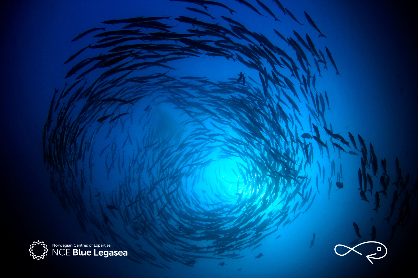 Forside kompetanseprogram fiskestim.png