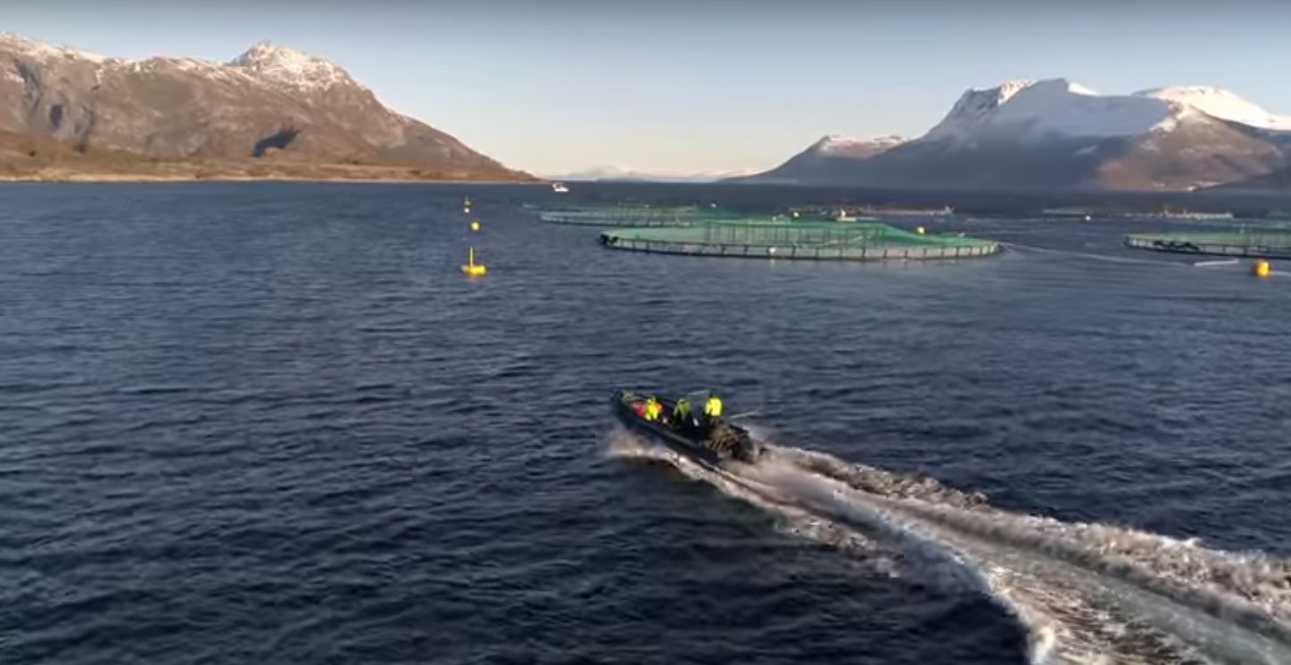 Biomarin innovasjon.JPG