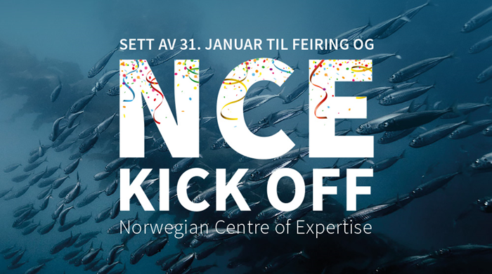 NCE-Kick-off-nyhetsbrev.jpg (copy)