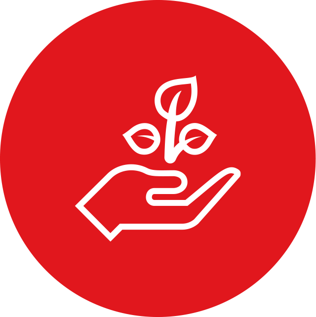 Bærekraftsrådgivning