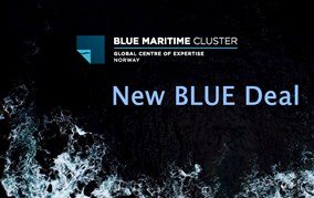 Read all about the cluster's new strategy: New BLUE Deal